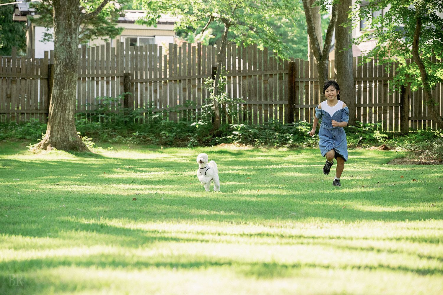 ククリドッグフィールドで走る犬と子ども